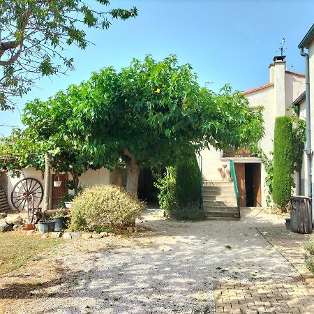 L'Habitacio De Can Rufa Maureillas Ngoại thất bức ảnh